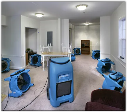 Mold Remediation & Removal in Palmyra, NY