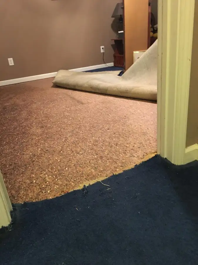 Carpet pad removal revealing water damage during Water Mitigation Services in Palmyra