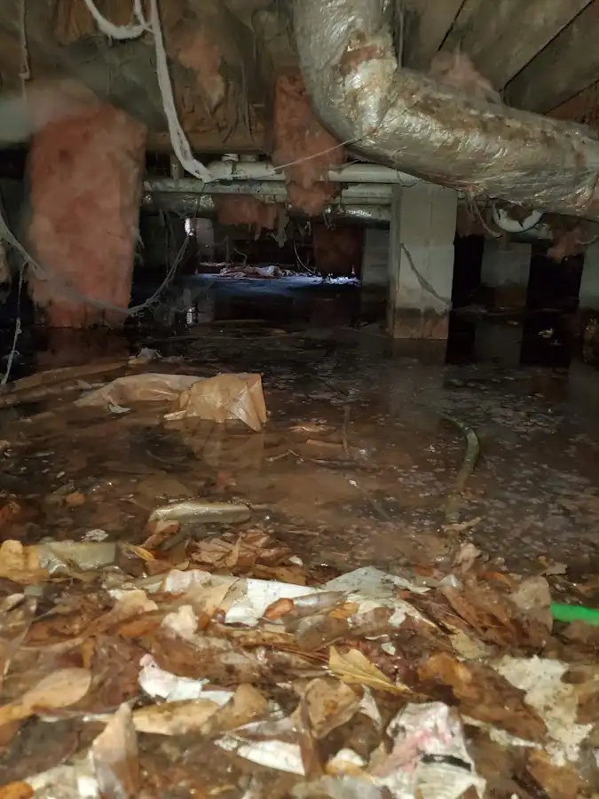 Crawl space flood assessment for Leak Detection & Repair in Palmyra