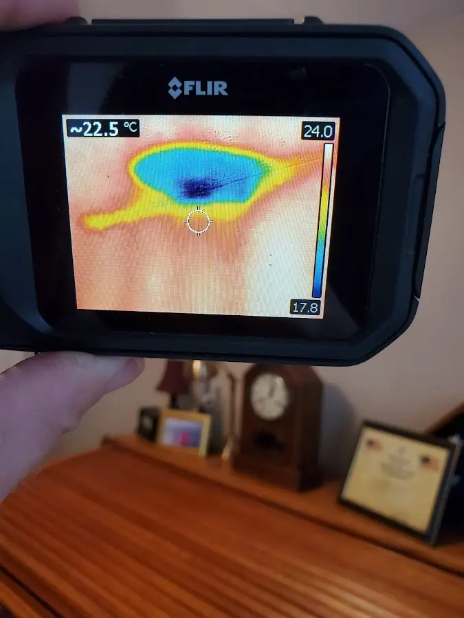 Thermal imaging inspection for water damage in Palmyra