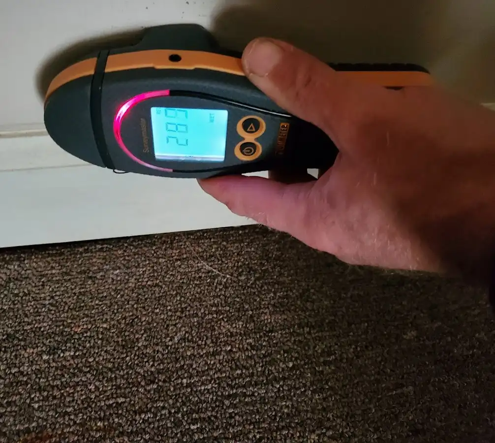 Moisture detection at baseboard during Sewage Cleanup & Sanitation in Palmyra